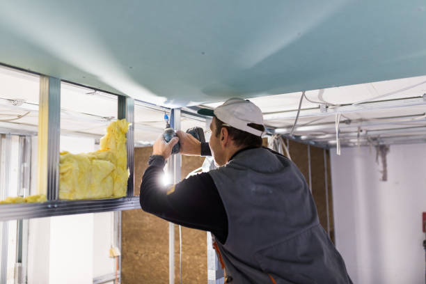 Best Soundproof Insulation Installation  in Murphy, MO
