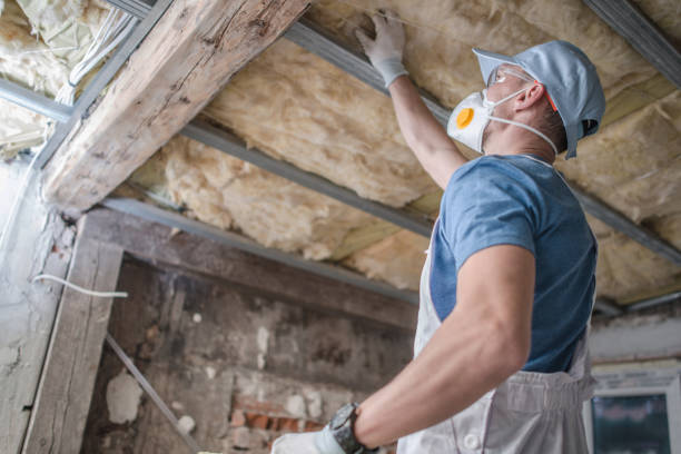 Best Garage Insulation Installation  in Murphy, MO