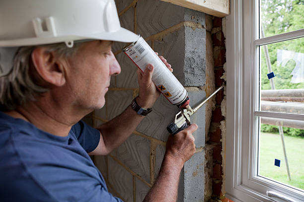 Best Professional Insulation Contractor  in Murphy, MO