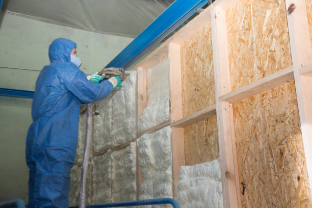 Best Fiberglass Insulation  in Murphy, MO