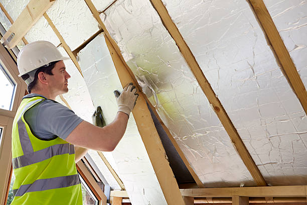 Best Attic Insulation Installation  in Murphy, MO
