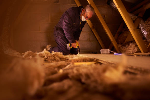 Best Best Insulation Companies  in Murphy, MO