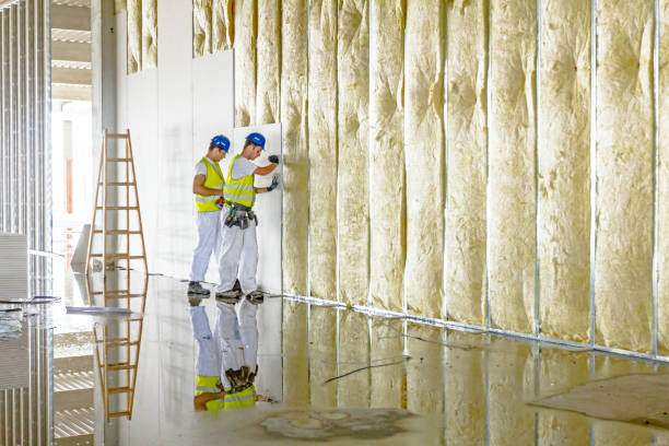 Best Insulation for New Construction  in Murphy, MO